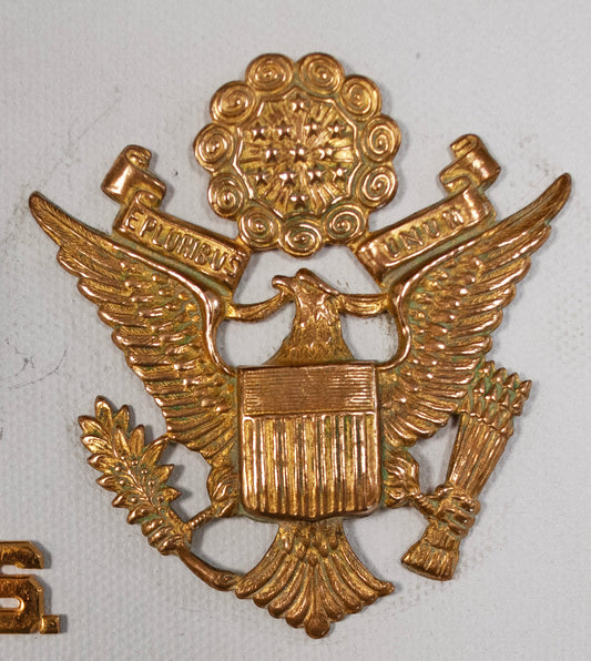 Cap Badges and Insignia in US and UK and Commonwealth countries.