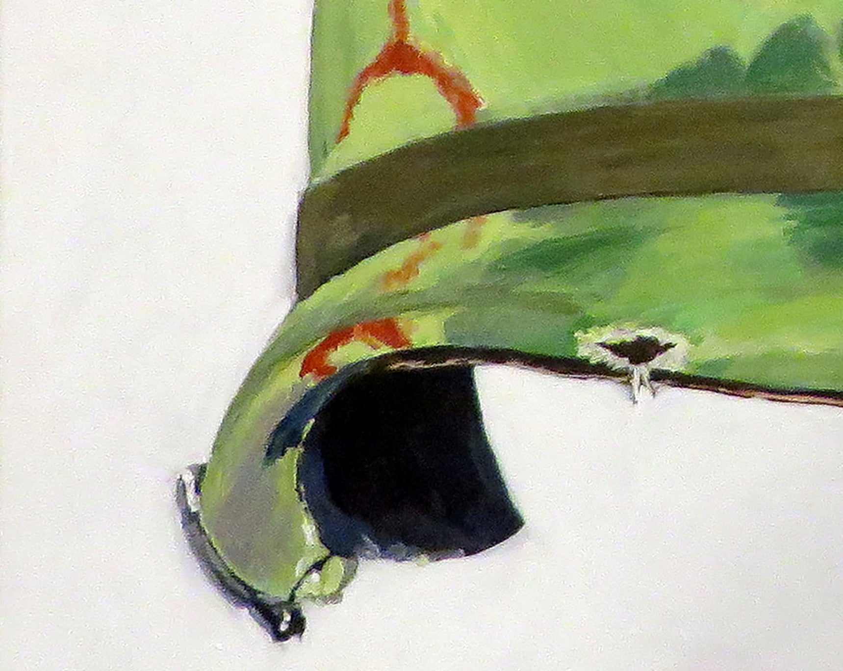 Painting, Helmet, M1 Helmet with Mitchell Camouflage Cover, Lt. Col. Vietnam Era, 1959.  30"H x 40"W x 1 13/16" acrylic on canvas.