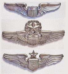 Photograph of Display Board. WW2 US Army Air Force Wings Senior Flight Surgeon