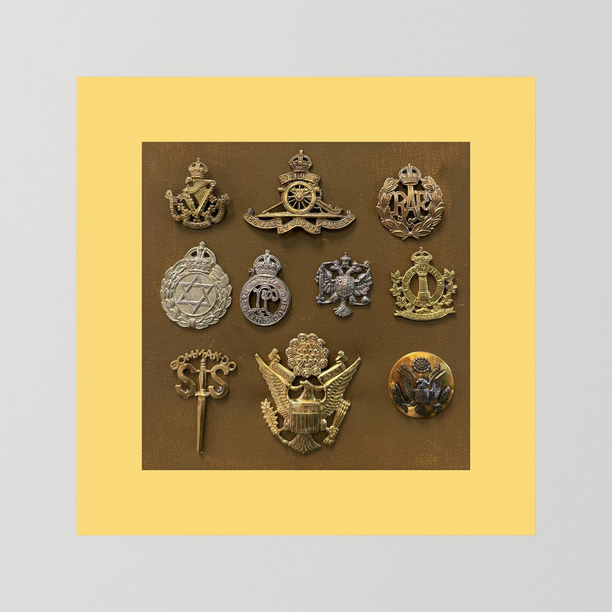 Composite image showing Display Boards of Military Insignia, Regimental & Service Cap Badges