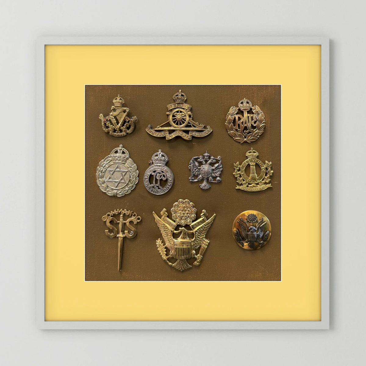 Composite image showing Display Boards of Military Insignia, Regimental & Service Cap Badges