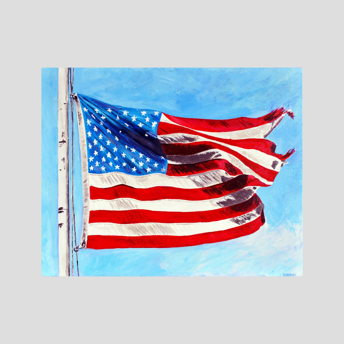 Stars & Stripes #2. Fine Art Print