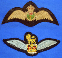 RAF Wings: Royal Rhodesian Air Force and RAF Glider Regiment. Photograph - Art goes to War