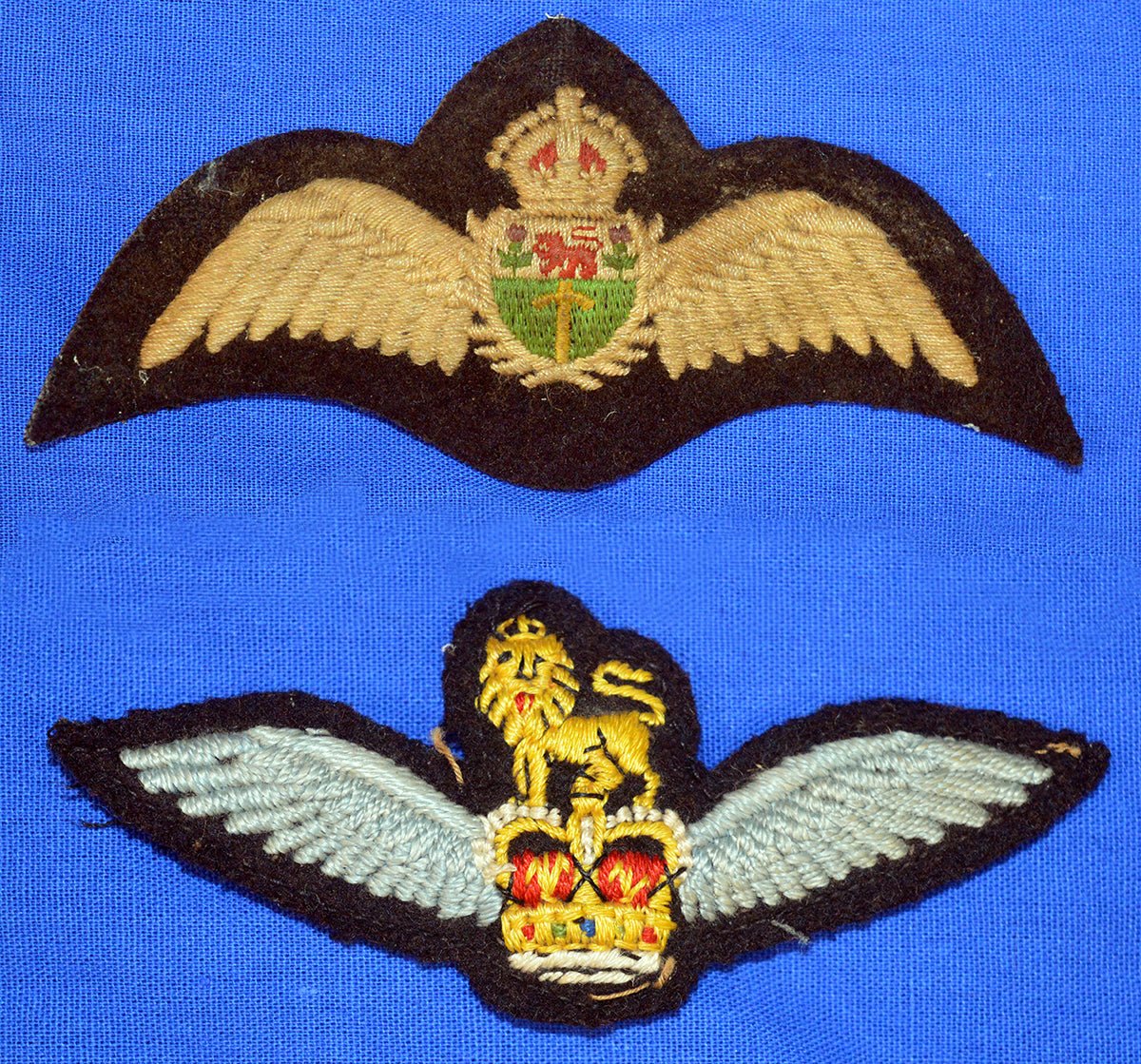 RAF Wings: Royal Rhodesian Air Force and RAF Glider Regiment. Photograph - Art goes to War