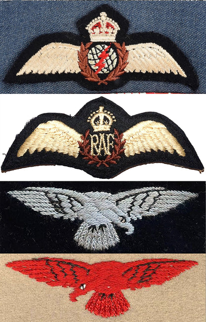 Royal Air Force Pilot Wings and Shoulder Sleeve Insignia. Art Print - Art goes to War