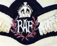 Art print featuring Royal Air Force Pilot Wings and Shoulder Sleeve Insignia