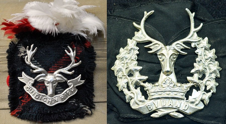 WW2 UK Cap Badges Glengarry side-caps. Seaforth & Gordon Highlanders. Photograph - Art goes to War