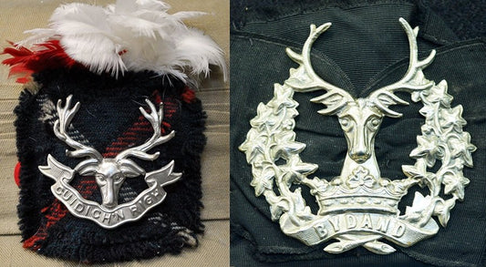 WW2 UK Cap Badges Glengarry side-caps. Seaforth & Gordon Highlanders. Photograph - Art goes to War